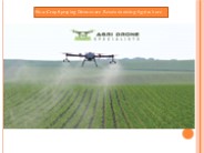 How Crop Spraying Drones are Revolutionising Agriculture