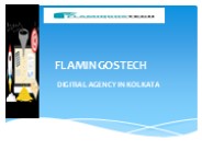 DIGITAL AGENCY IN KOLKATA - FLAMINGOSTECH