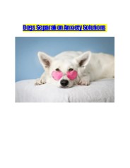 Dog Separation Anxiety Solutions