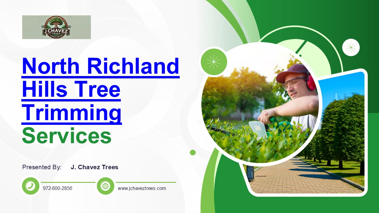 Expert North Richland Hills Tree Trimming Services