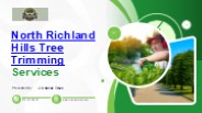 Expert North Richland Hills Tree Trimming Services