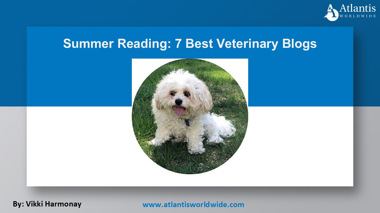 PPT – Summer Reading: 7 Best Veterinary Blogs PowerPoint presentation ...