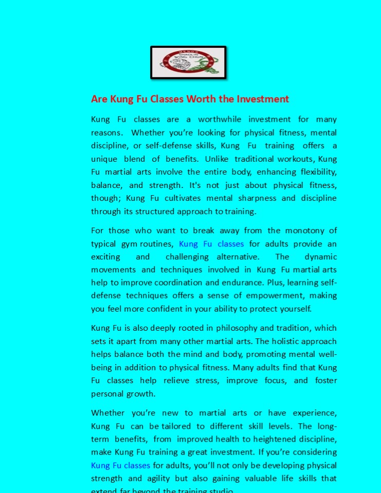 Are Kung Fu Classes Worth the Investment