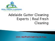 Adelaide Gutter Cleaning Experts | Real Fresh Cleaning