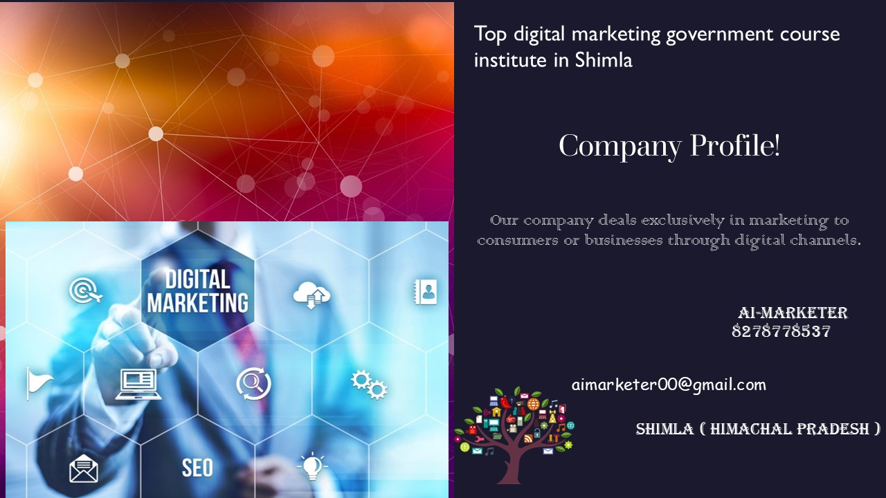 Top Digital Marketing Agency in Shimla 2024