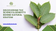 Discovering the Science & Benefits Behind Natural Kratom