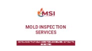 MSI Offers  Professional  Mold  Inspection  Services
