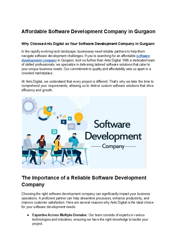 Affordable Software Development Company in Gurgaon (1)