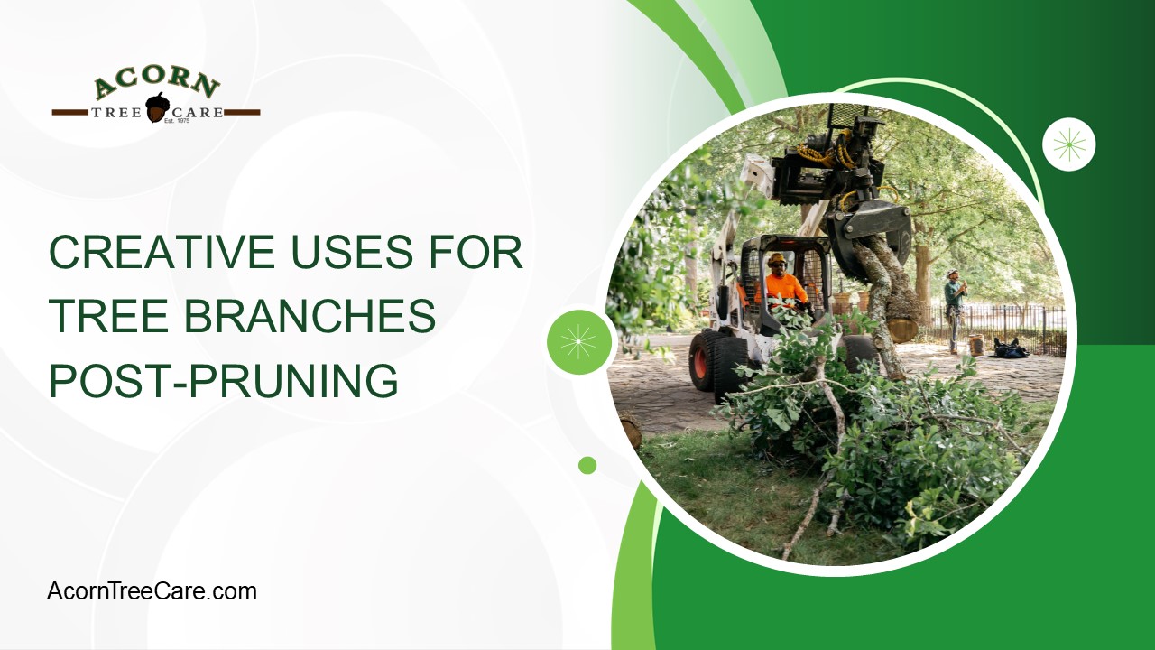 Creative Uses for Tree Branches Post-Pruning