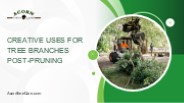Creative Uses for Tree Branches Post-Pruning