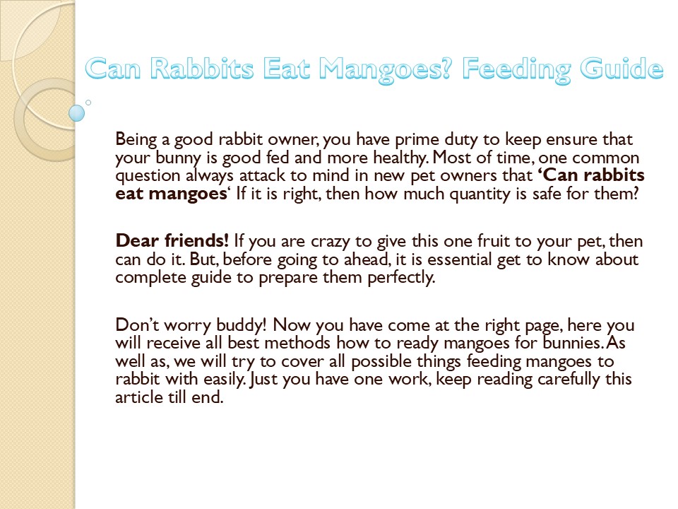 Can Rabbits Eat Mangoes (Dried, Skin, & Leaves)? Feeding Guide