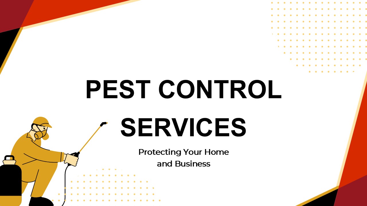 Gold Coast’s Trusted Pest and Termite Experts