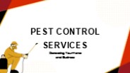 Gold Coast’s Trusted Pest and Termite Experts