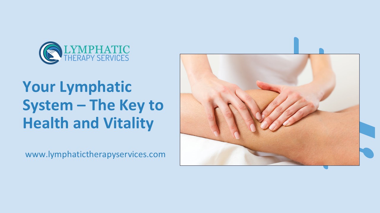 Your Lymphatic System – The Key to Health and Vitality