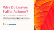 Why do leaves fall in autumn? (2)