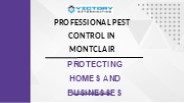 Professional Pest Control in Montclair: Protecting Homes and Businesses