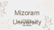 Mizoram University