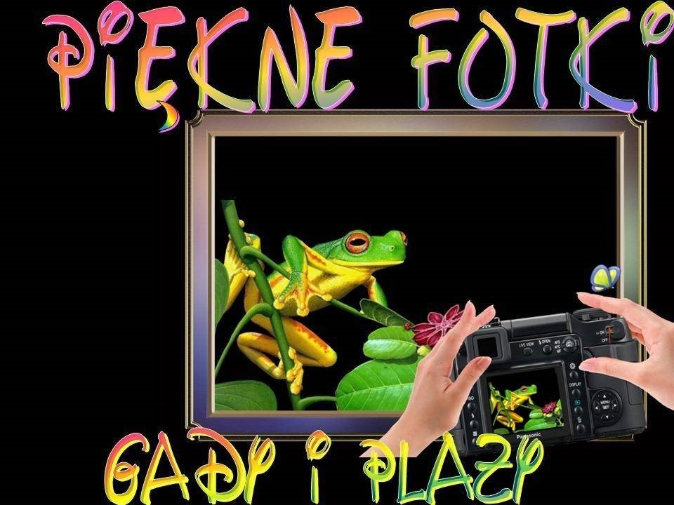 Krasne fotky 2: Hadi a plazi (Daktylek)