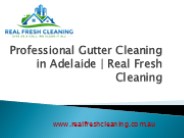 Professional Gutter Cleaning in Adelaide | Real Fresh Cleaning