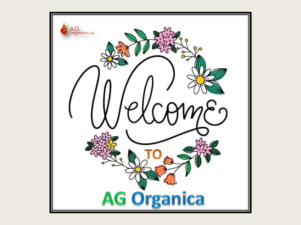 Discover the Purity of AG Organica Lemongrass Oil