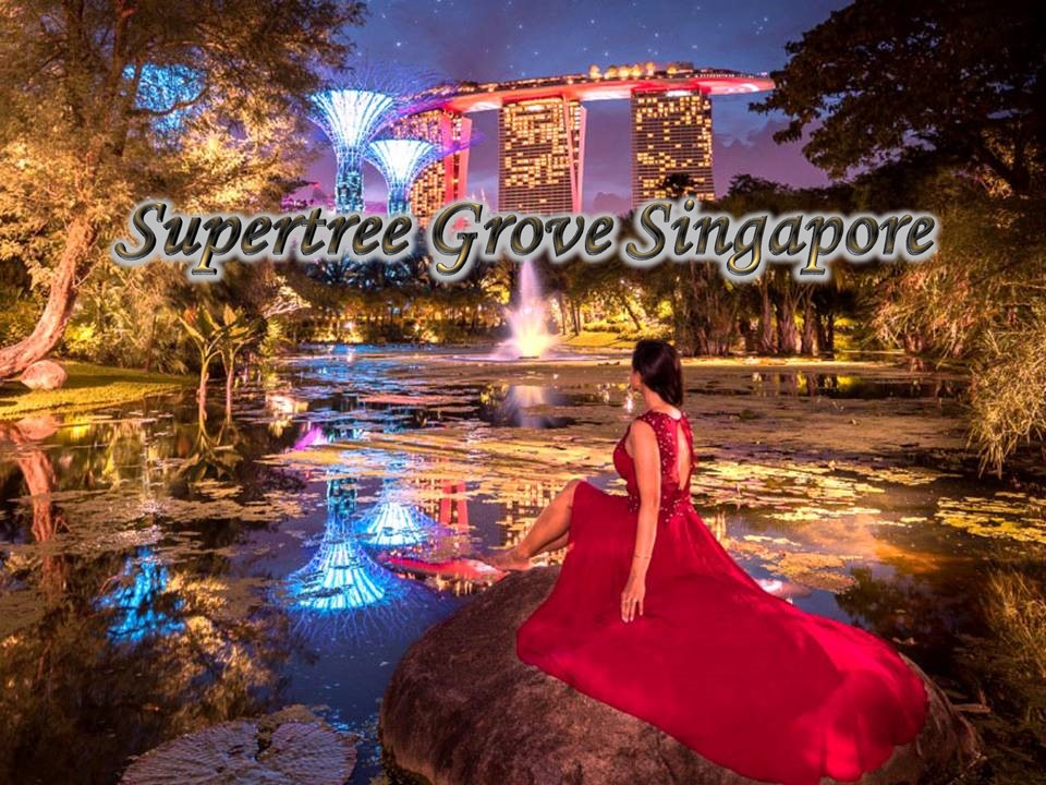 Supertree Grove Singapore (Agnerz)