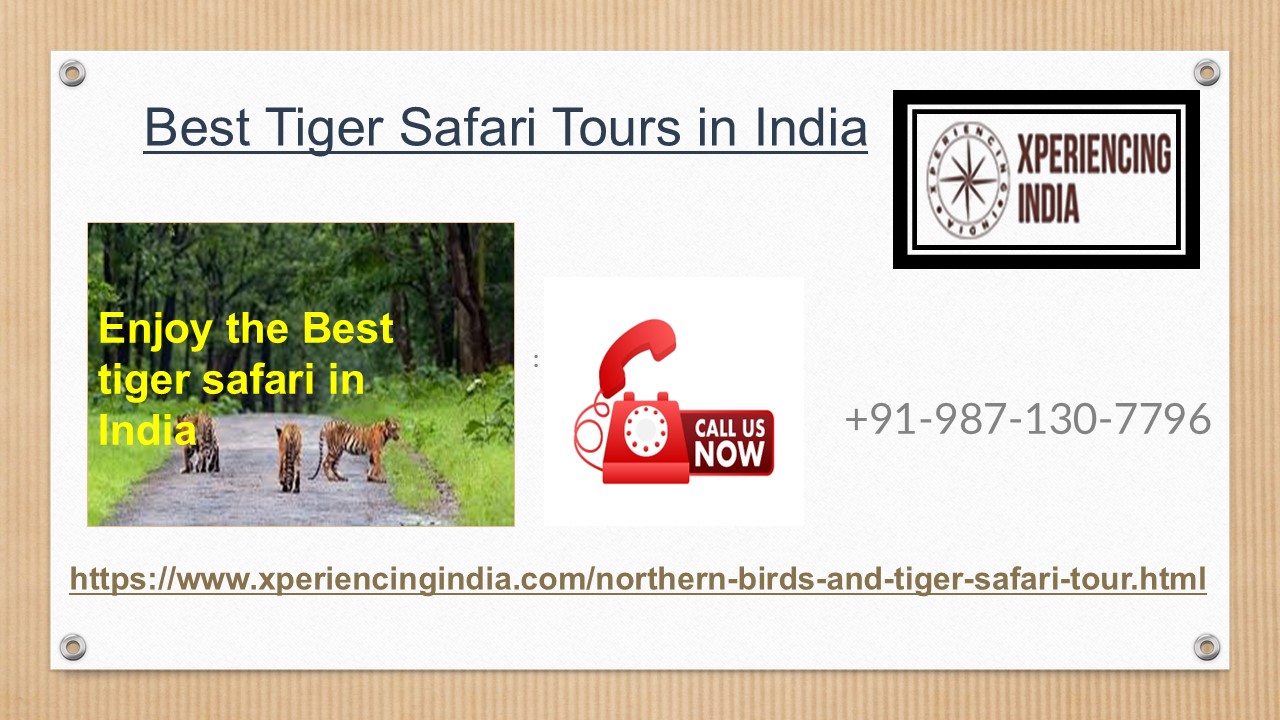 Best Tiger Safari Tours in India (1)