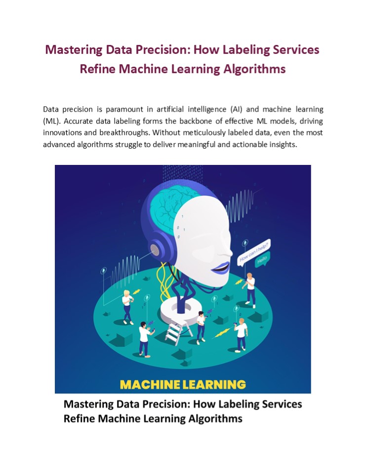 Mastering Data Precision: How Labeling Services Refine Machine Learning Algorithms