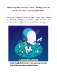 Mastering Data Precision: How Labeling Services Refine Machine Learning Algorithms