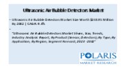 Ultrasonic Air Bubble Detectors Market