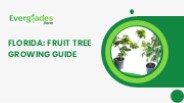 Florida: Fruit Tree Growing Complete Guide