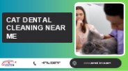 Cat Dental Cleaning Near me