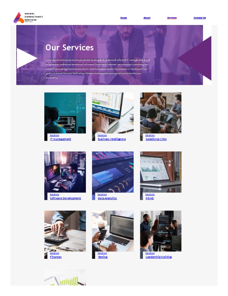 IT Solutions for Your Business | Anasol Consultancy (2)