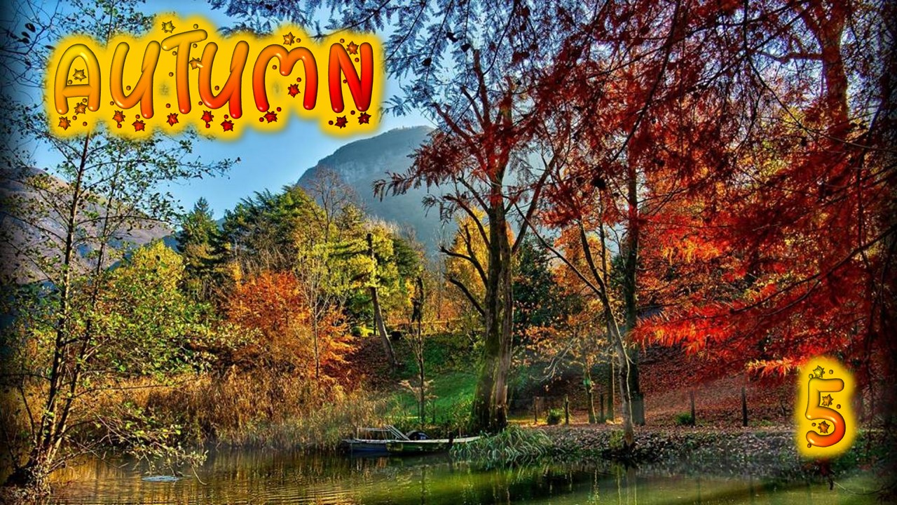 presentation player overlay