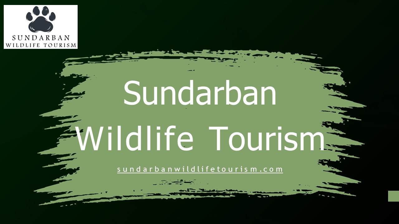 Sundarban Tour - Sundarban Wildlife Tourism (1)