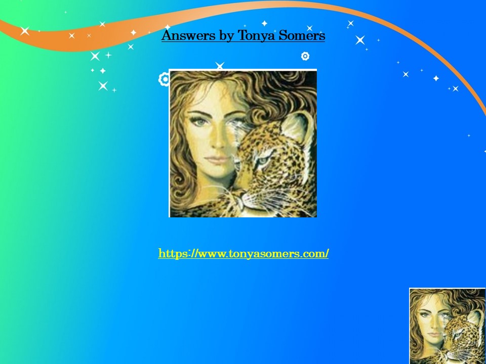 Twin Soul Mates Love