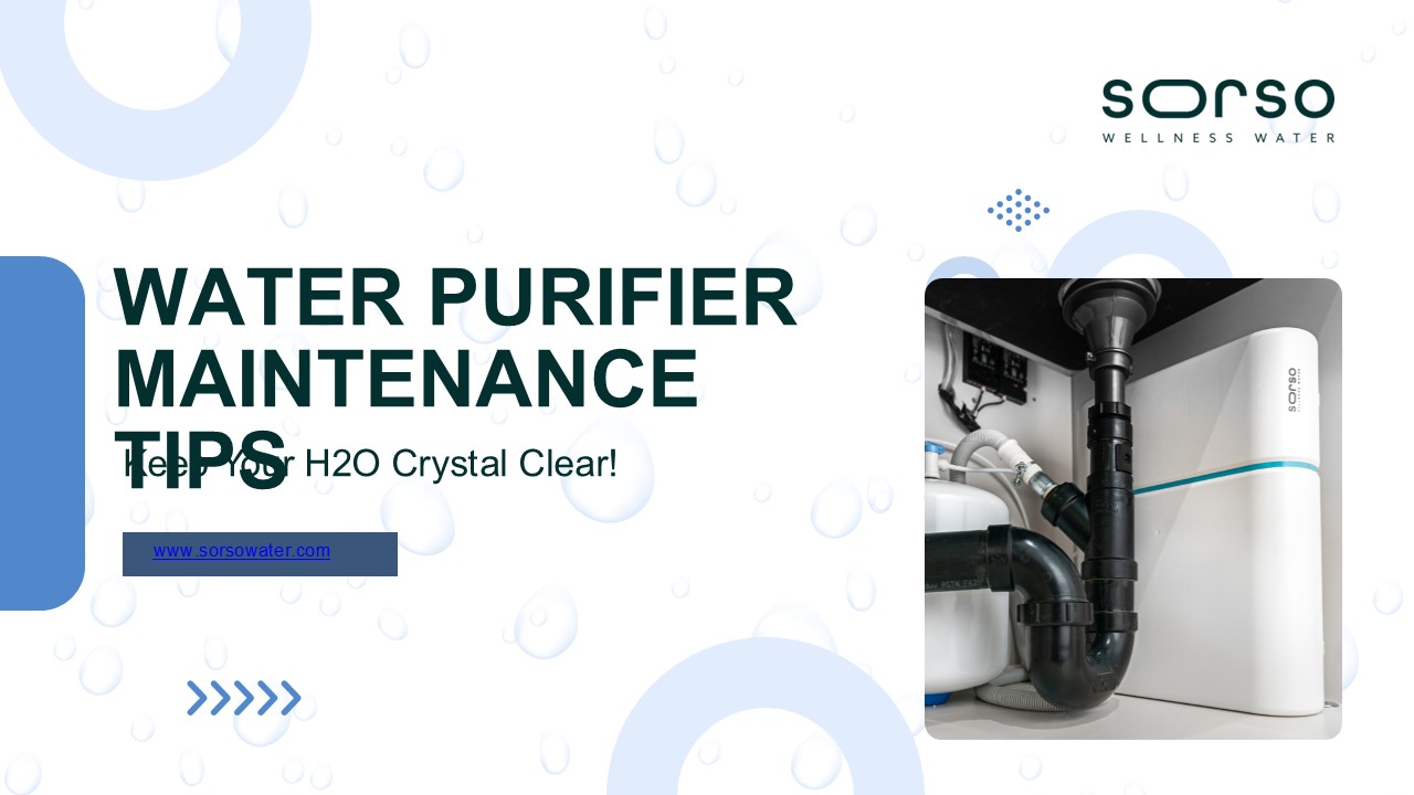 Water Purifier Maintenance Tips with Sorso Wellness Water