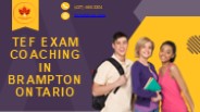 TFA - French Language School
