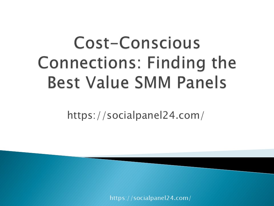 Cost-Conscious Connections: Finding the Best Value SMM Panels