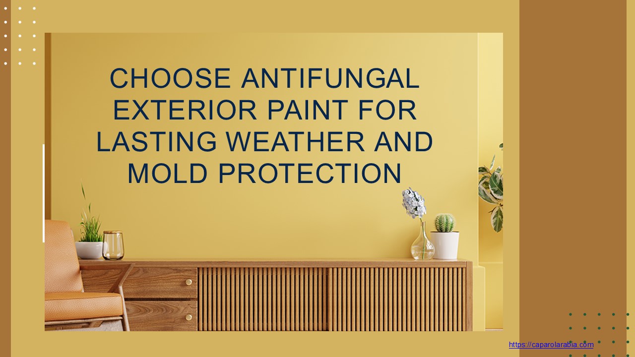 Choose Antifungal Exterior Paint for Lasting Weather and Mold Protection