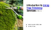 Professional Irving Tree Trimming Services to Beautify Your Landscape