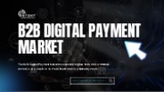 B2B Digital Payment Market