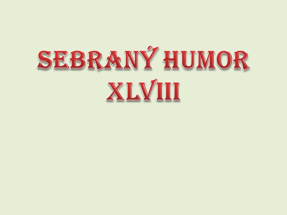 Sebrany humor (Jitka) 48