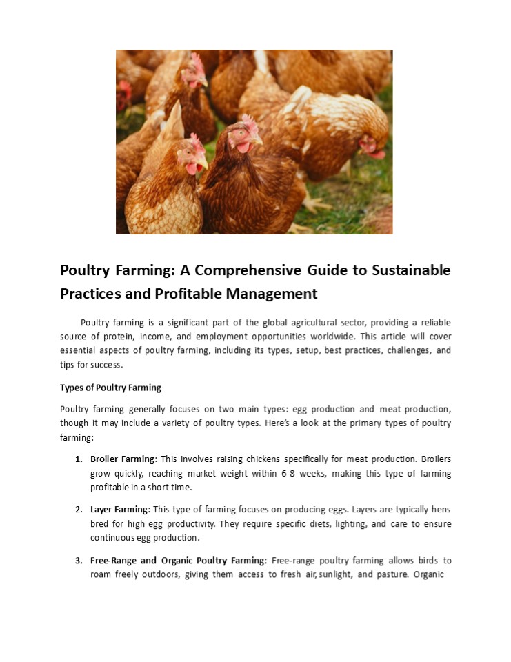 Hightop Poultry Equipment Supplier -Chicken Farming Equipment Manufacturer