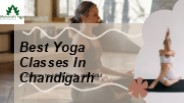 Best Yoga Classes In Chandigarh | Maharishi Yoga (1)