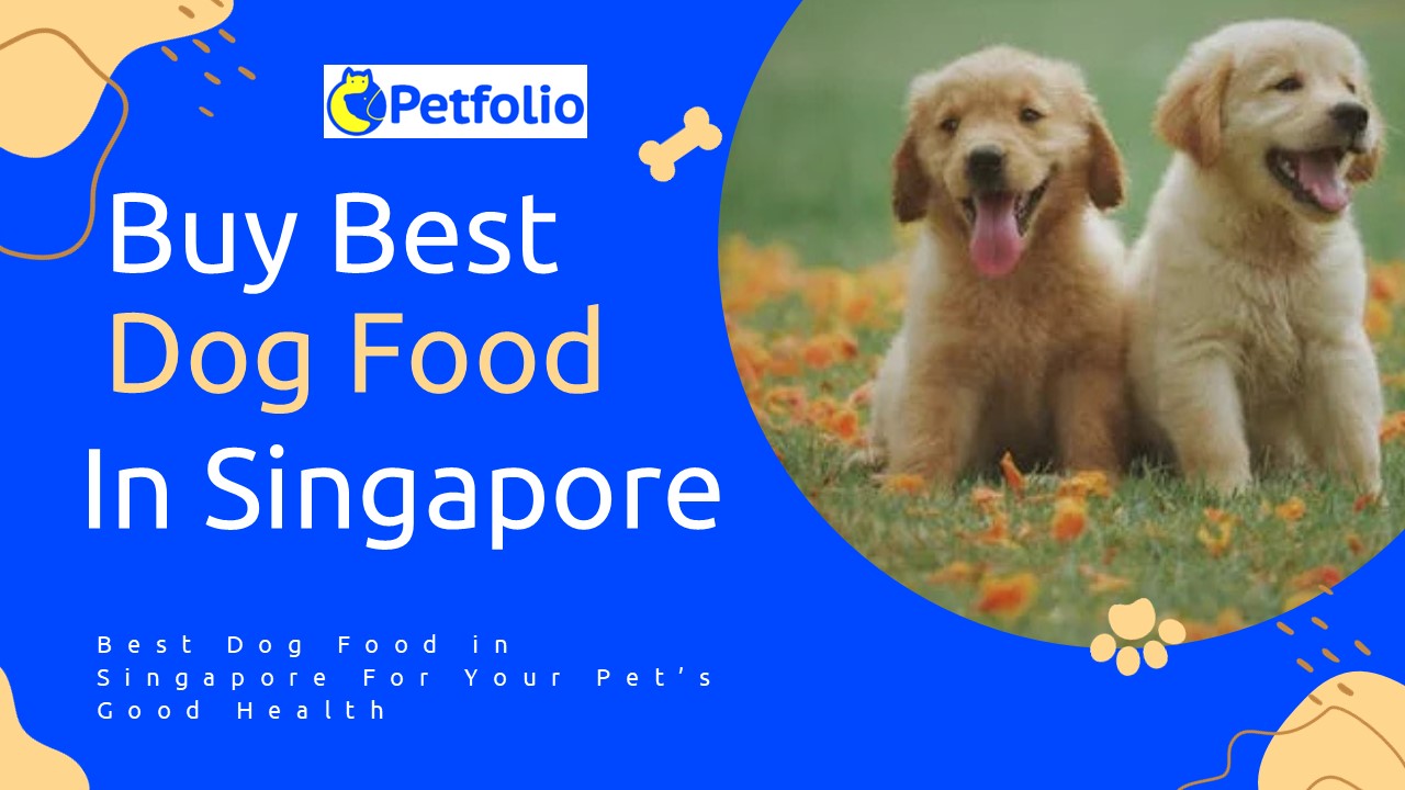 Buy Best Dog Food In Singapore