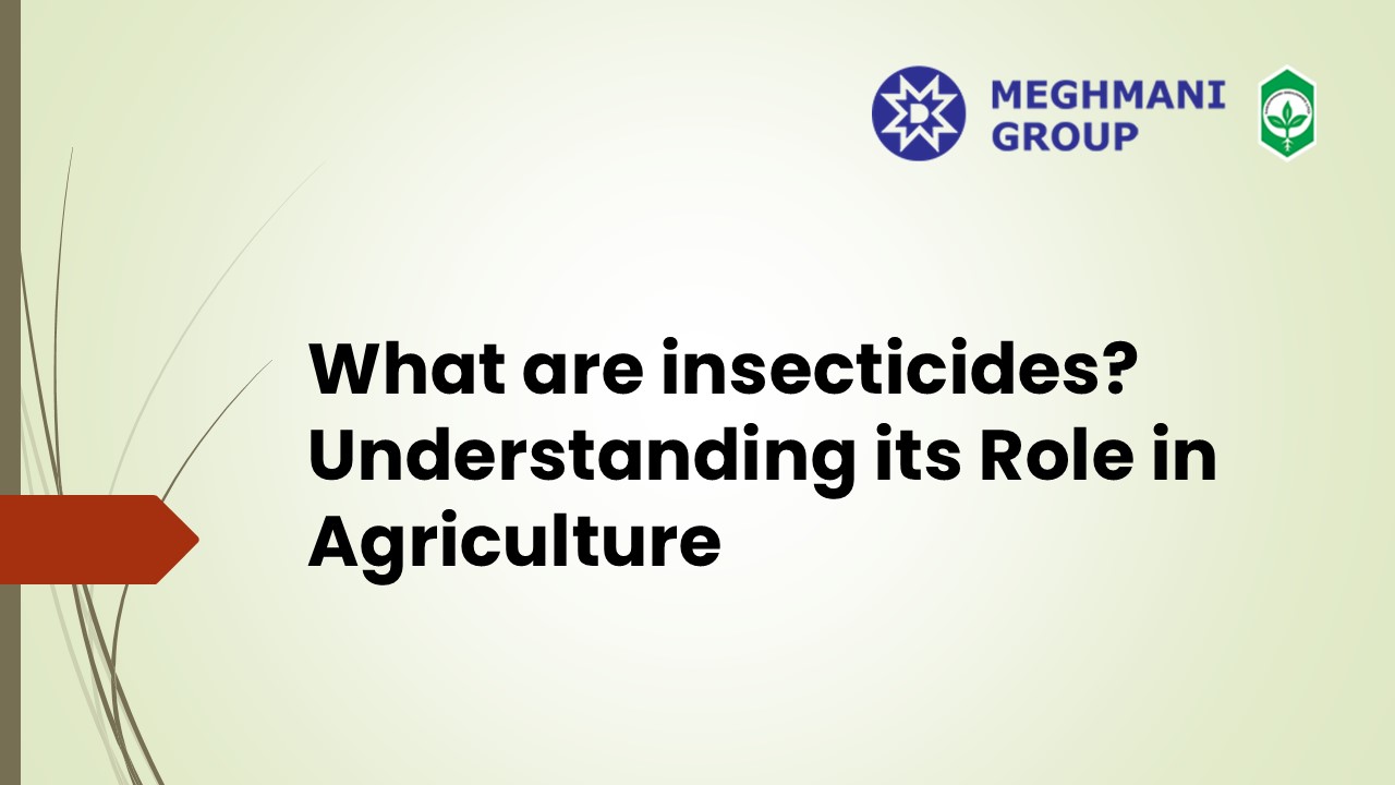 What are insecticides? Understanding its Role in Agriculture