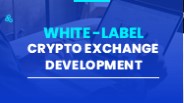 White label crypto exchange development company