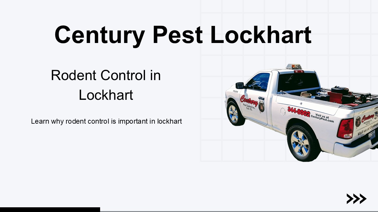 quick guide on Rodent Control in lockhart