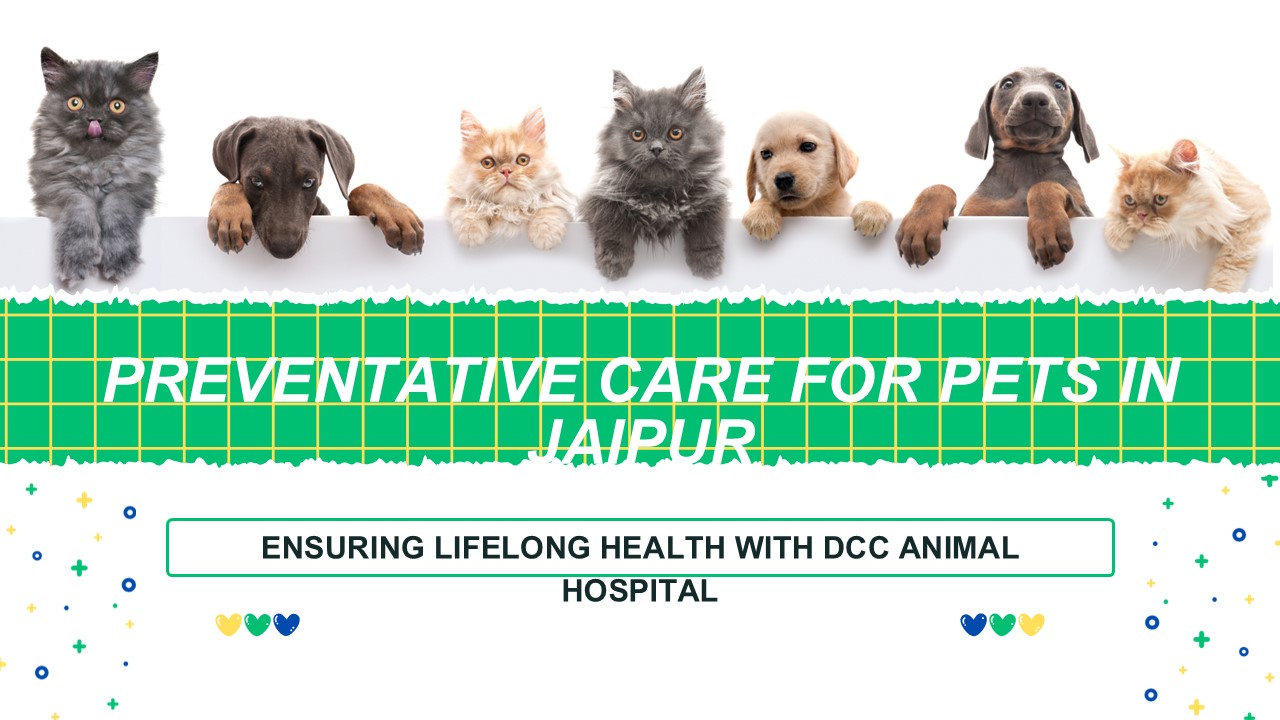 Preventative Care for Pets in Jaipur with DCC Animal Hospital Jiapur