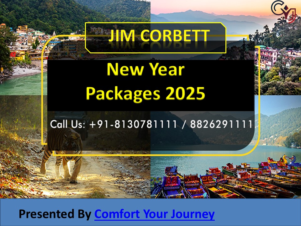 Jim Corbett New Year Packages 2025 – New Year 2025